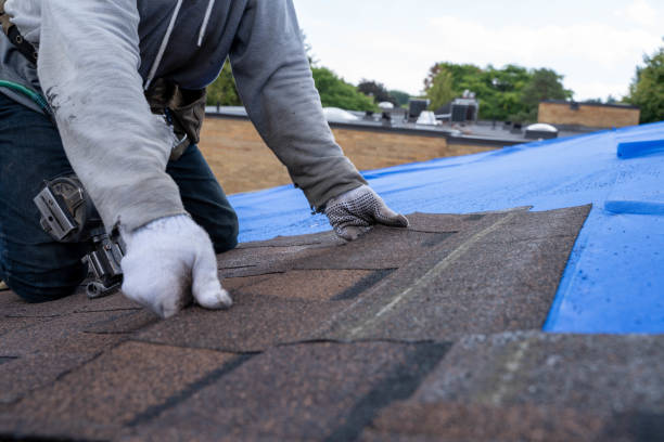 Roof Repair Estimates in Santa Paula, CA