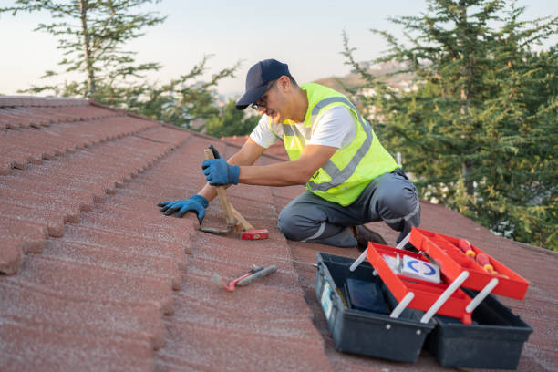 Roof Gutter Cleaning in Santa Paula, CA